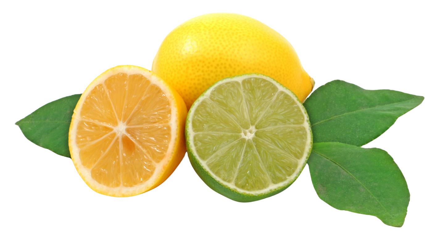 transparent horizontal fruit